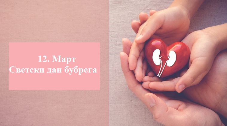 13. март – Светски дан бубрега